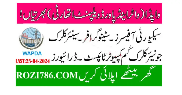 Wapda Jobs 2024 Online Apply