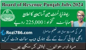 Board of Revenue BOR Punjab Jobs 2024